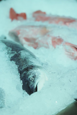 Fresh seafood displayed on ice at a market stallの写真素材