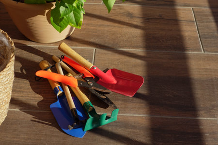 Gardening tools arranged on a wooden floor in sunlightの写真素材