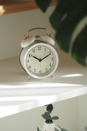 Alarm clock on shelf with greenery behind it