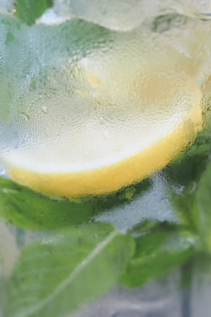 Fresh lemon slice with mint leaves in cold drinkの写真素材