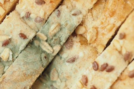 closeup of mold on a bread