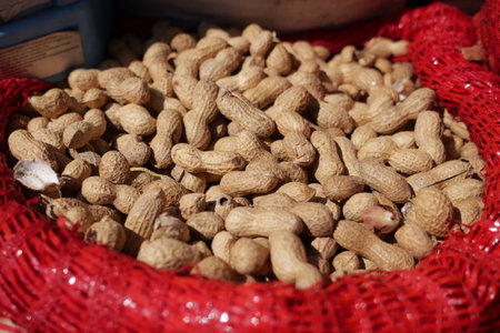 Fresh peanuts for sale at local market in daylightの写真素材