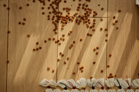 pet food spilled on a wooden floorの写真素材
