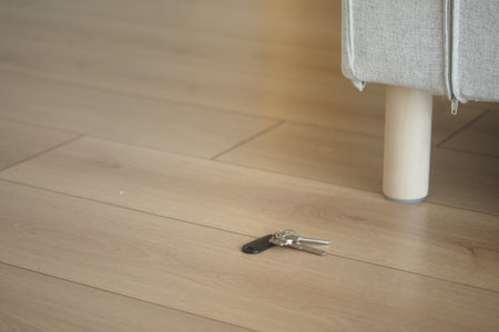 Keys lying on the floor near a couch in a living room. lost key conceptの写真素材