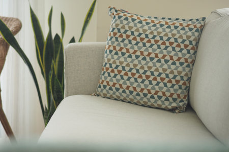 Cozy living room with patterned pillow and indoor plants