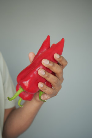 Fresh red peppers held in hand against a neutral backgroundの写真素材