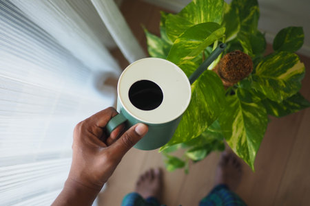 Watering a houseplant with care at home in daytime