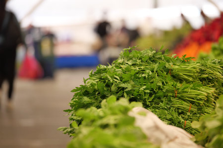 Fresh green herbs at a bustling market in autumnの写真素材