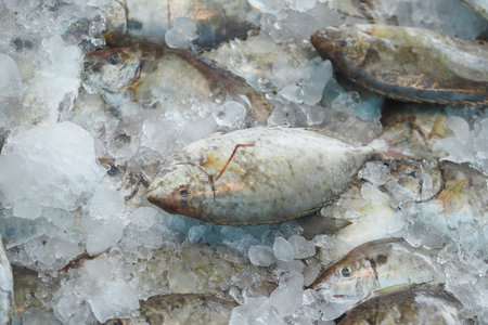 Fresh fish displayed on ice at a seafood marketの写真素材