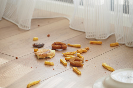 Snack crumbs scattered on wooden floor near a windowの写真素材