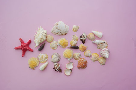 Colorful collection of seashells arranged on pink background