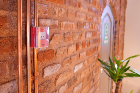 Vintage style wall with alarm system and indoor plantの写真素材