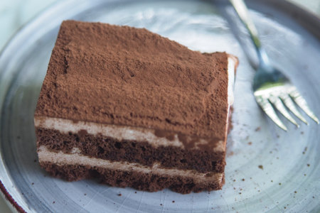 Delicious chocolate cake served on a silver plateの写真素材