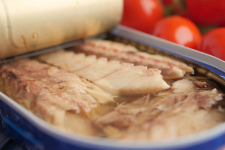Delicious canned fish with fresh tomatoes on the sideの写真素材