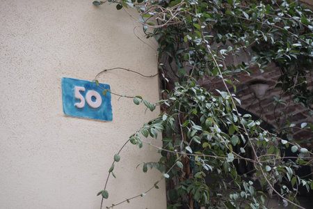 House number 50 with green vines on a wall