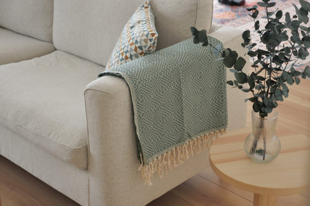 Cozy living room with decorative throw and plants