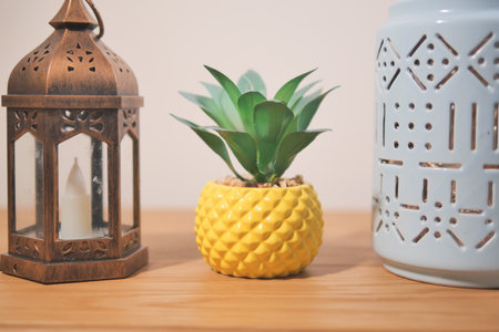 Decorative plant arrangement with lantern and candle holderの写真素材