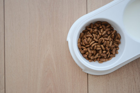 Pet food in bowl on wooden floor ready for feeding