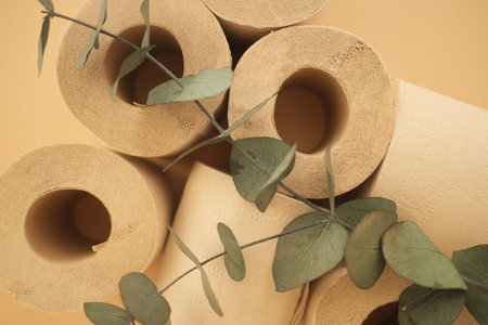 Natural decor with rolls of paper and eucalyptus leavesの写真素材
