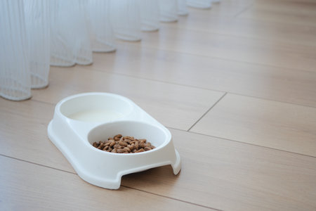 Pet food bowl on a wooden floor with food and waterの写真素材