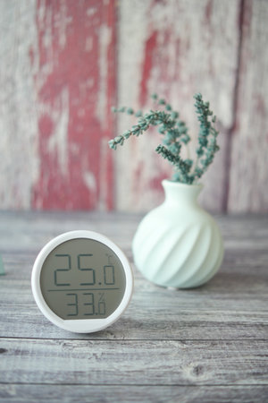 Stylish indoor thermometer and decorative vase with plantの写真素材