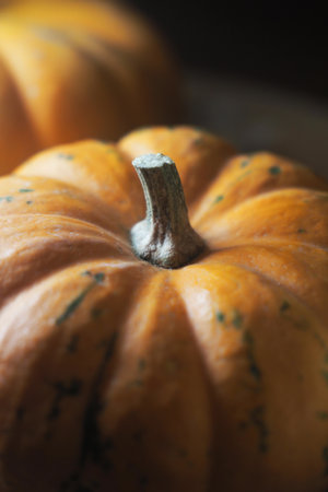 Pumpkin close-up shows texture and color in autumn lightの写真素材
