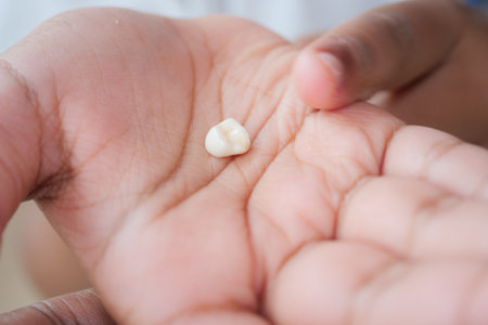 Child shows off a lost tooth in their palmの写真素材