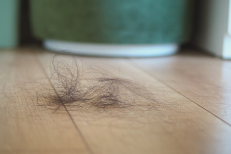 Loose hair on wooden floor near a green potの写真素材