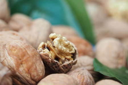 Walnuts displayed on a table with green leaves nearbyの写真素材