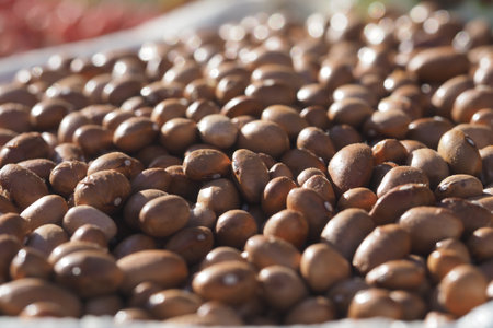 Fresh brown beans stored in a market for saleの写真素材