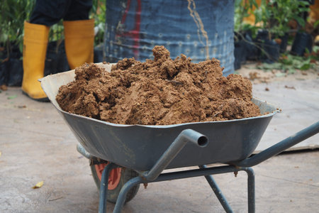 Wheelbarrow filled with soil in a garden settingの写真素材