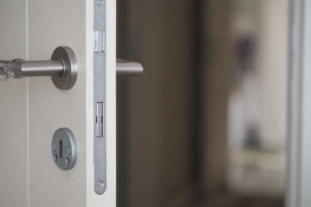 Door with modern handle and lock in a light space