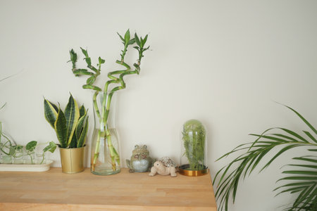 Indoor plants on wooden table in bright roomの写真素材