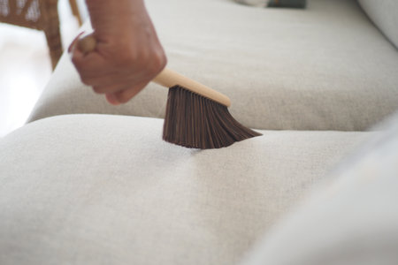 Cleaning a couch with a brush during the dayの写真素材