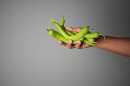Holding fresh green chilies in hand for cookingの写真素材