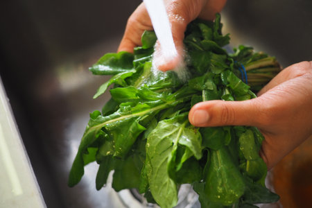 Washing fresh greens in a kitchen sink at homeの写真素材