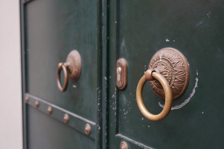 Decorative door knockers adorn a green entranceの写真素材