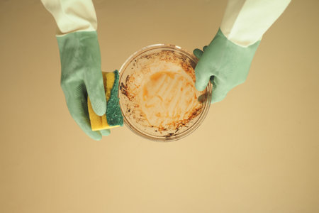 Cleaning a bowl with a sponge in a kitchen settingの写真素材