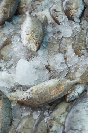 Fresh fish on ice at the market early in the morningの写真素材