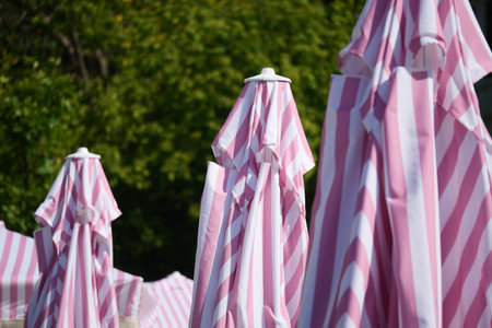 Sunshades stand in a sunny park on a warm dayの写真素材