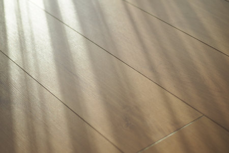 Sunlight shines on wooden floor during afternoonの写真素材