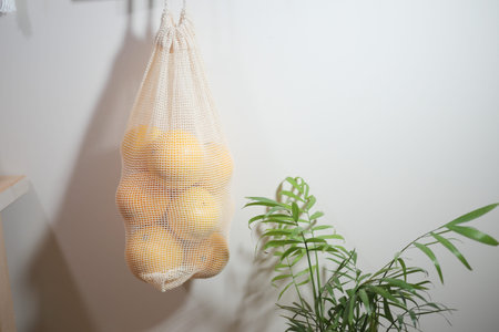 Hanging bag filled with oranges next to a green plant