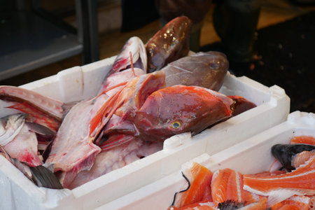 Fresh fish displayed at a market in the morning