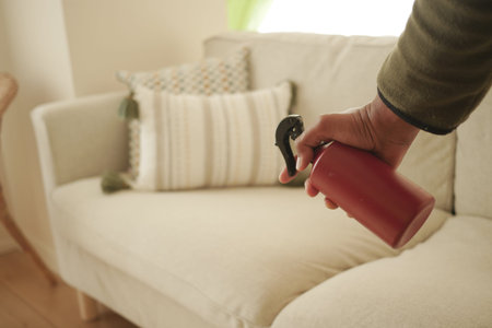 Hand holds spray bottle near couch for cleaning purpose