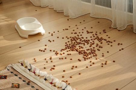 Cat food on the floor next to an empty bowl in sunlightの写真素材