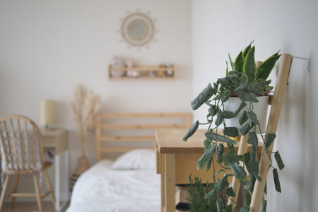 Indoor space with bed, plants, and wooden furniture in homeの写真素材
