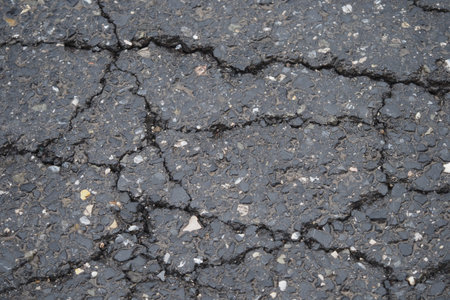 Daytime cracks on urban asphalt surface