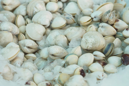 Fresh clams displayed on ice at a seafood market