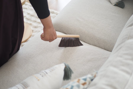 Cleaning a sofa with a brush in a living room spaceの写真素材