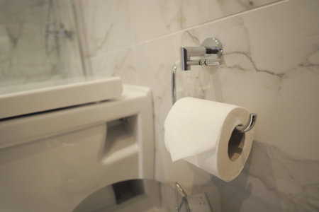 Bathroom scene with toilet paper on holder near toilet